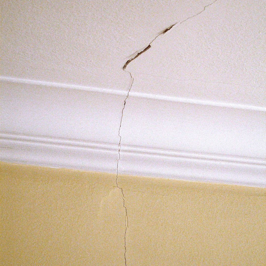 Machado & Mallmann (30)