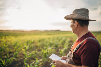 Proteja o legado que você construiu com a Holding Rural