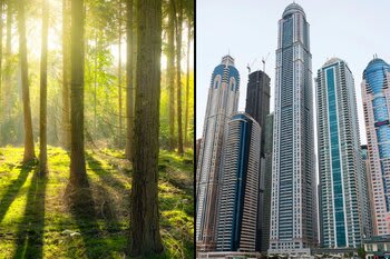 Do mato ao arranha céus: tudo passa pelo Registro de Imóveis.