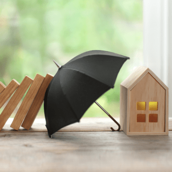 Machado e Mallmann (8)