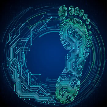 _exposição_digital_