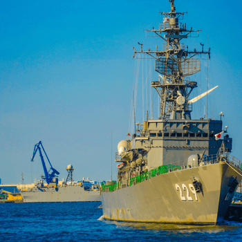 Machado & Mallmann (29)