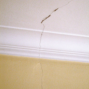 Machado & Mallmann (30)